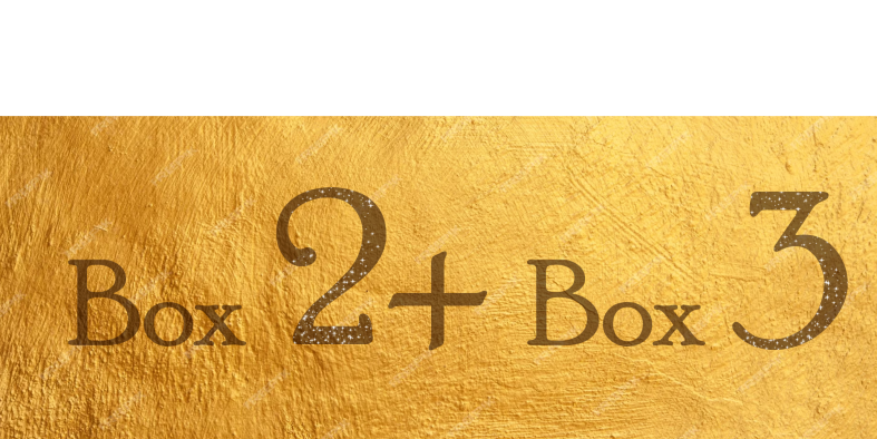 BOX 2 + BOX 3 = 16 PALLINE